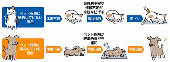 茗荷谷の獣医なら小石川動物病院