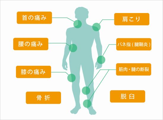 真空勃起装置の評価