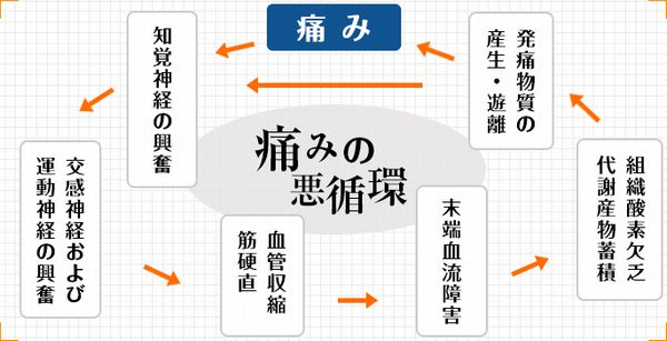 三軒茶屋ペインクリニック