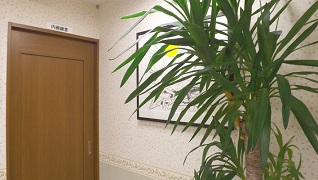 ギャラリー8