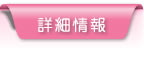 詳細情報