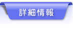 詳細情報