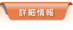 詳細情報