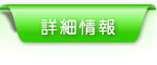 詳細情報