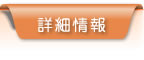 詳細情報
