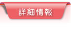 詳細情報