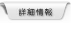詳細情報