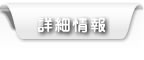 詳細情報