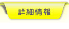 詳細情報