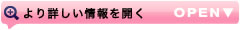 より詳しい情報を開く